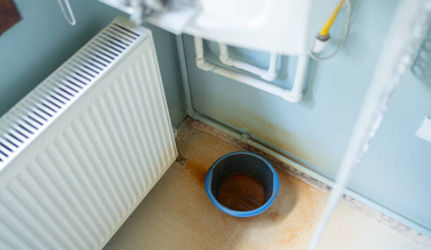 Best Fire Damage Restoration  in Mount Vernon, TX
