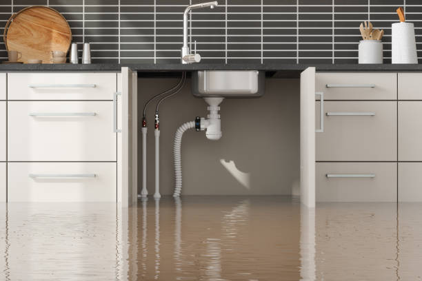 Best 24-hour water damage restoration  in Mount Vernon, TX